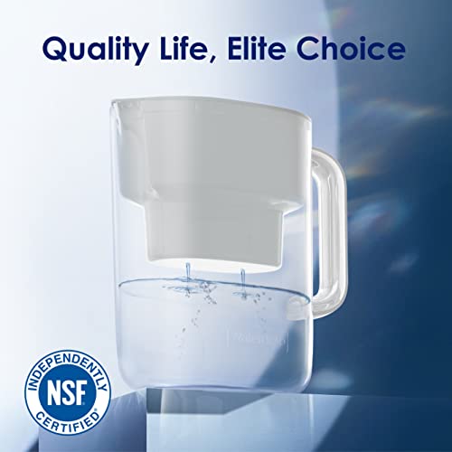Waterdrop Water Filter Pitcher - 10-Cup Capacity, NSF Certified, Reduces PFOA/PFOS & Chlorine, Improves Coffee & Tea Tas