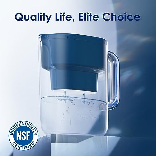 Waterdrop Water Filter Pitcher - 10-Cup Capacity, NSF Certified, Reduces PFOA/PFOS & Chlorine, Improves Coffee & Tea Tas