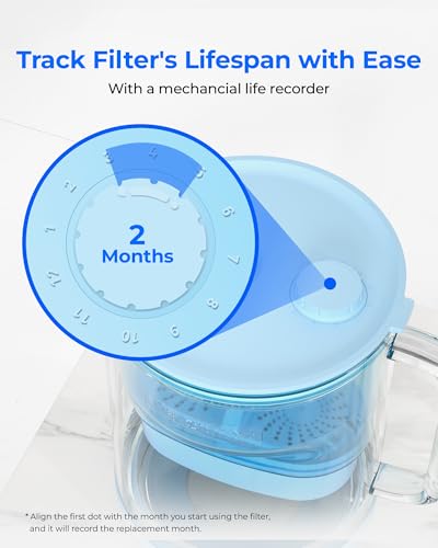 Waterdrop Large Glass Water Filter Pitcher - Eco-Friendly 10-Cup with Certified Filter - Reduces PFOA/PFOS, Chlorine & H